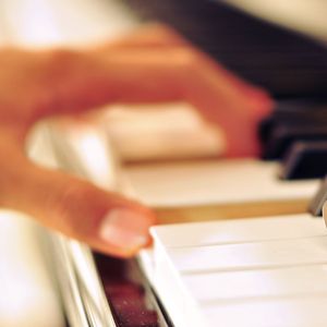 国产调教在线观看
